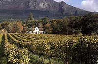 Winelands